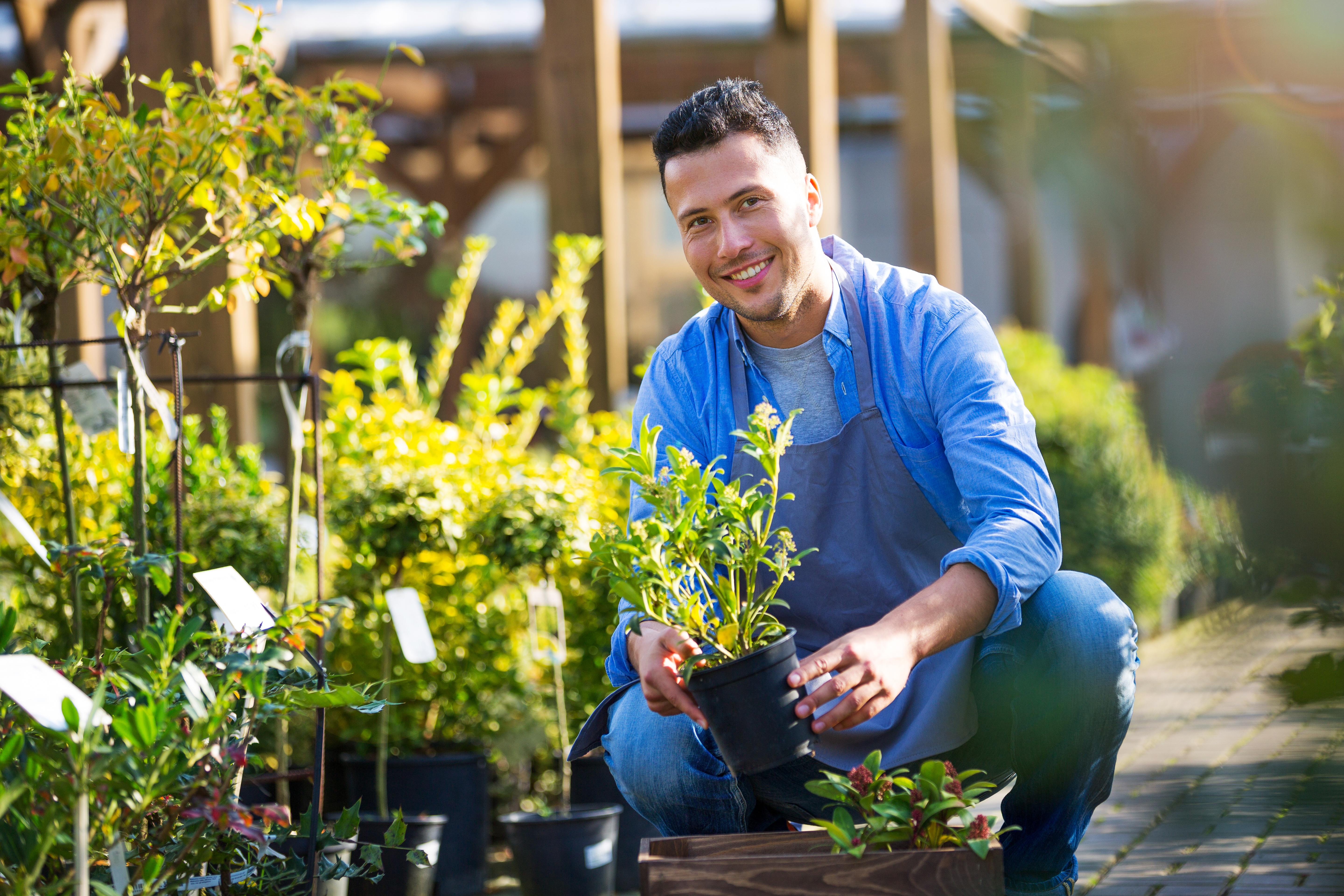 Man gardening