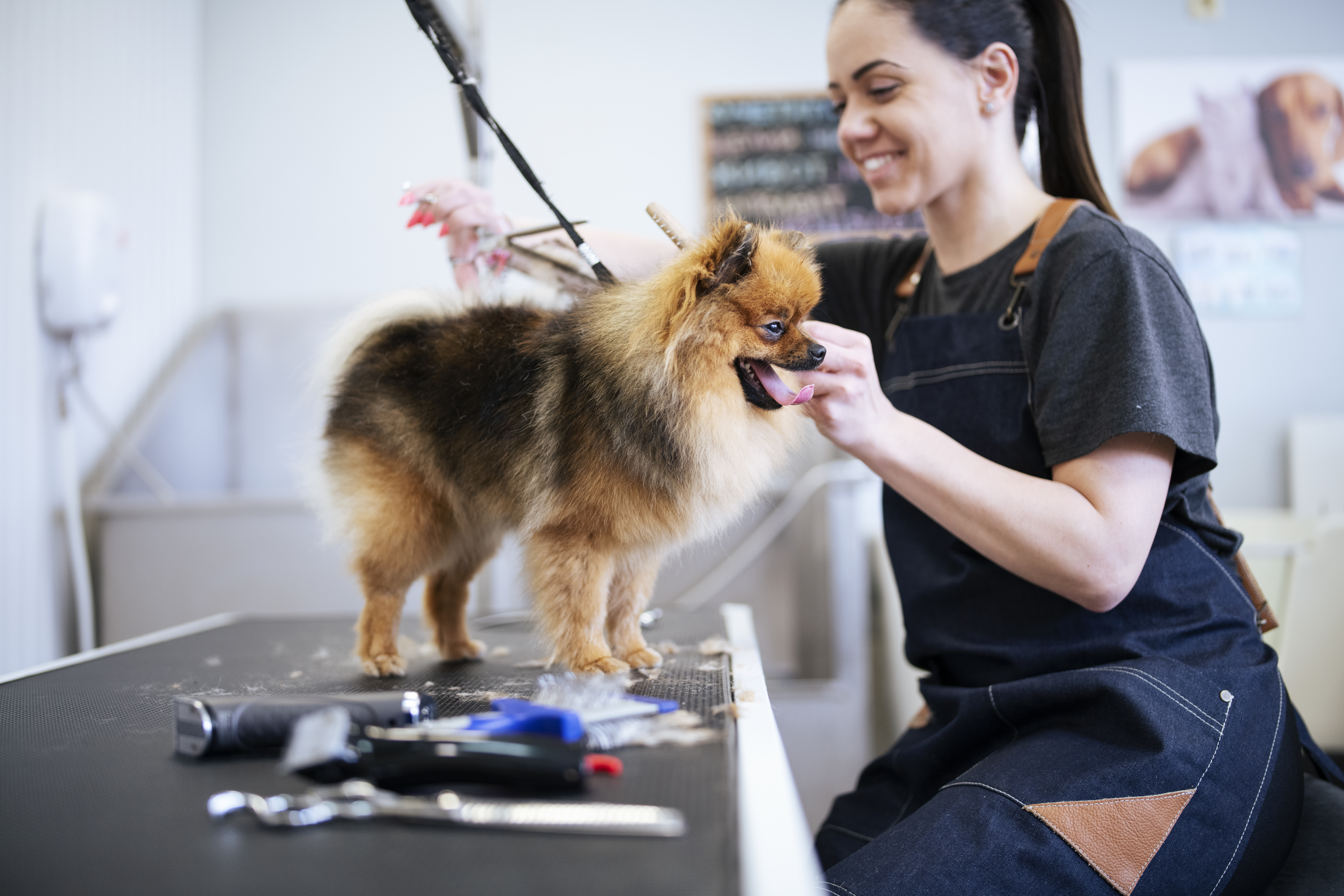 Groomer cleaning a dog